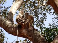 Keeping an eye on the "refreshment" stop