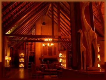 Reception area - Kapama Lodge