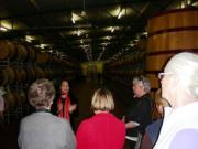 Wines - learn and taste.