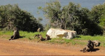 Waiting for an audience ...