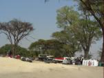 Waiting to cross - Botswana